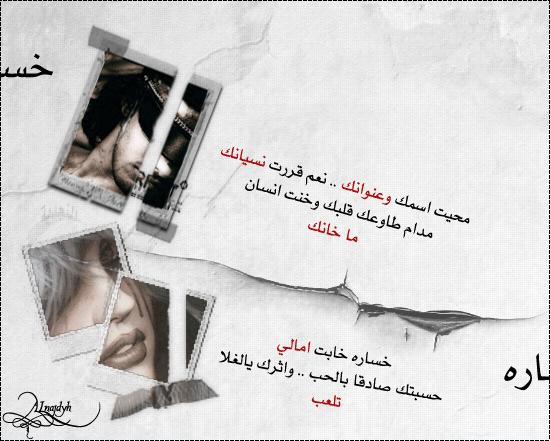 ���� ���� �������